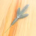 Trident 3D PE Leaf - Frosted White