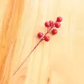 7 Heads Red Berries