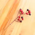 15 Heads Red and Black Berries