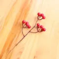 15 Heads Red Berries