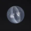 38mm Capsule Shell / Clear