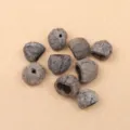 Asura Nut (PJ-412-1)