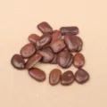 Yihua Bean (PJ-412-1)