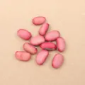 Sword Bean (PJ-412-1)