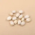 Five-Eyed Nut (PJ-412-1)