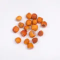 Nutmeg Seed Piece (PJ-412-1)