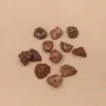 Peach Pit Slice (PJ-412-1)
