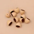 Phoenix Egg Nut (PJ-412-1)