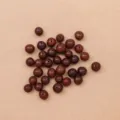Sun Seed (PJ-412-1)