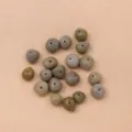 Moon Seed (PJ-412-1)