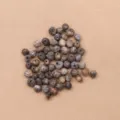Job's Tears Bead (PJ-412-1)