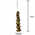 Brochette de Zanthoxylum pour Mâcher