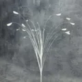 Herbe de Paon à 20 Têtes / Blanc