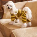 Yellow Bee (Rock Yellow)