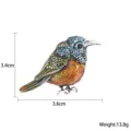 Iridescent Hummingbird (XD823280)