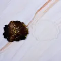 Coaster Mold 2
