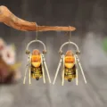 Boucles d’oreilles scarabée ambrées suspendues à une branche, avec crochets dorés et détails rayés - Forme de Scarabée / Orange