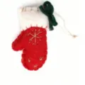Red Mitten