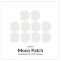 Mold Accessory / Moon Film Sheets (10 Pieces/Pack)