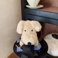 Style Teddy / Kaki
