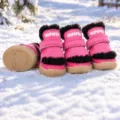 Black and Pink Gradient