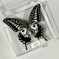 Papillon Voilier Asiatique / Style Adhésif (Produit Fini Simple)