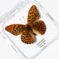 Papillon Nacré / Style Adhésif (Produit Fini Simple)