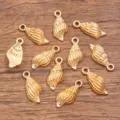 Conch Shape (No. 31)
