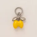 Steel Color Lemon Charm