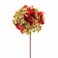 Hortensia Pequeña (YM231404) / Rosa
