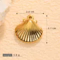 Gold Scallop (A508089)