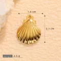 Polished Gold Scallop (A508096)