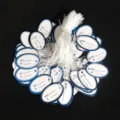 100 Stück/Packung / Ovaler Blauer Rand