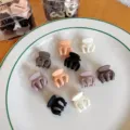 Pumpkin Claw / 10-Piece Set (Storage Box) / Mixed Coffee Tones