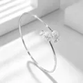 Plata 925 / Estilo Manzana Plateada (BR6)