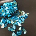 Conchiglia Blu