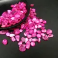 Conchiglia Rosso Rosa