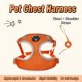 S (Recommend 1.5-3kg) / Bear Orange