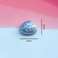 Oval Meteorite