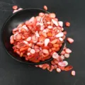 Conchiglia Rossa