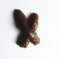 X-Shaped Crossed Style (Style 4) / Brown