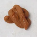 Spiral Turd Style (Style 2) / Brown