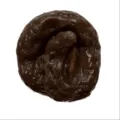 Spiral Coiled Style (Style 8) / Brown