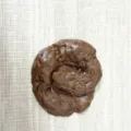 Realistic Poo Style (Style 9) / Brown
