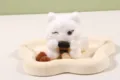 Winking Cat (White)