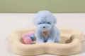 Teddy Dog (Blue)