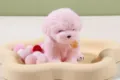 Teddy Dog (Pink)