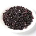 Garnet Gravel