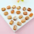 Square Style / 1 Piece/Pack / Milky Brown