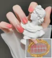 Gradient Coral Red (CG-009)